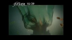 預告片