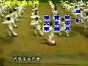 太極宗師  吳京