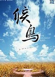 候鳥（中）