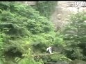 真愛一生之一天