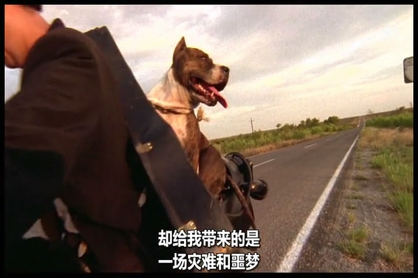 http://www.omega3-ala.com/pics/default/download/a9dfe7433b224a6237ce2adad0386cbf.jpg