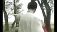 上官婉兒太子印象