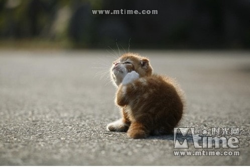 http://www.omega3-ala.com/pics/default/download/aa47c90d71a31ffd67630b9f152a0ec3.jpg