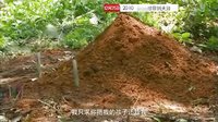 廣東衛(wèi)視《尋你到天涯》全國首輪獨(dú)播