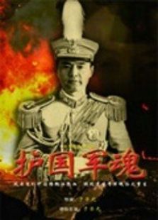護國軍魂傳奇
