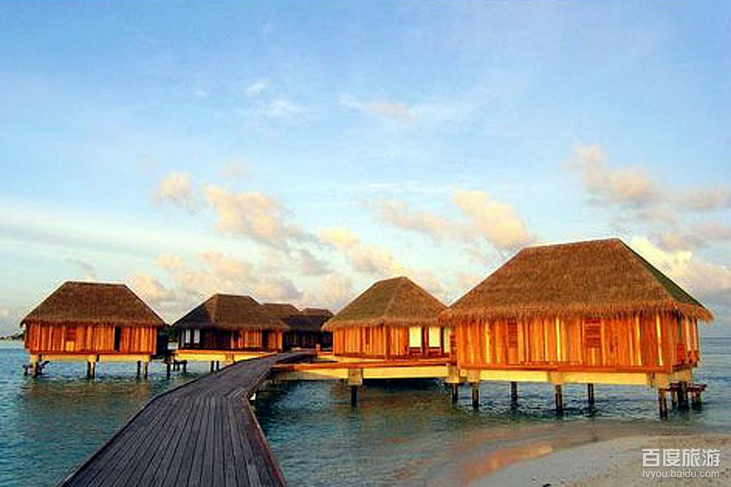 http://www.omega3-ala.com/pics/default/download/aaec23c1d5a1ae5f3743ad59ddf2d78f.jpg