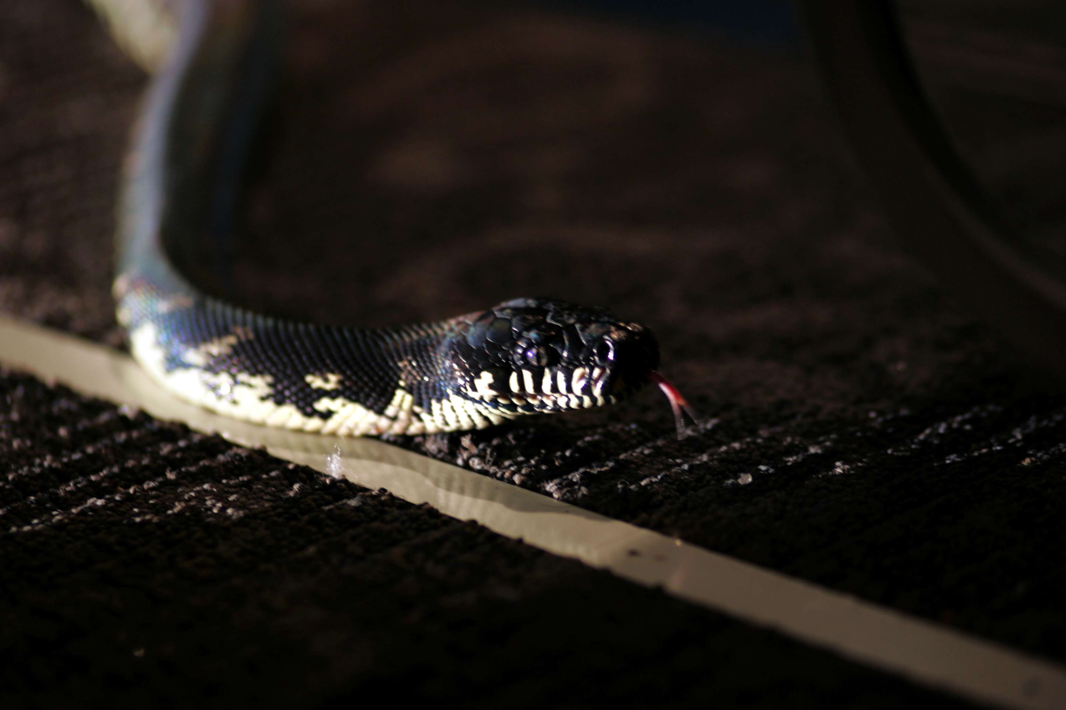 http://www.omega3-ala.com/pics/default/download/ab566165d182b6fc5df9519455b8c2ba.jpg
