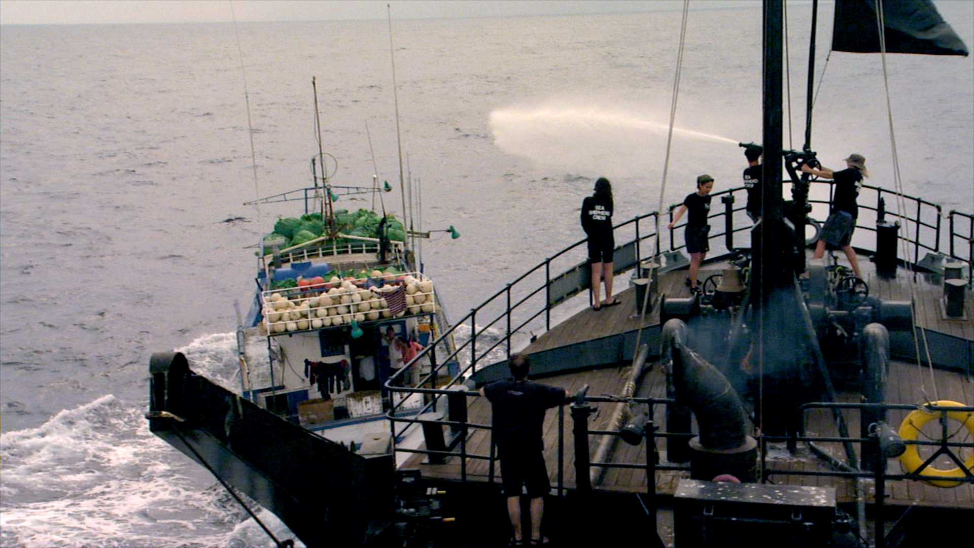 http://www.omega3-ala.com/pics/default/download/acfb4ae79c2204b9ca9bb4fe1d06cfe7.jpg