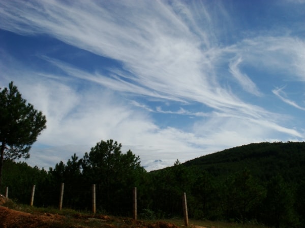 http://www.omega3-ala.com/pics/default/download/ad3c3b690b71097074b3c991ec8d18ac.jpg