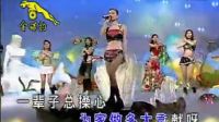 常回家看看， 酒廊情歌《十四大美女》太好聽！