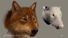 制作特輯之The Wolf Pack