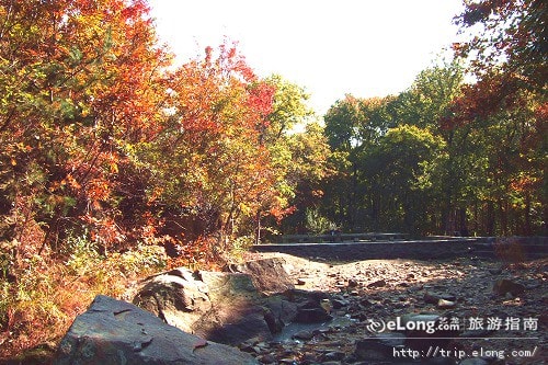 http://www.omega3-ala.com/pics/default/download/adf04198b31a9644701f3e60537a36fd.jpg