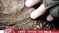 北京衛視電視劇 戰雷 燃血英雄