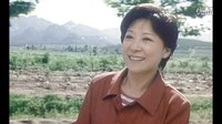電影《嬸子》片頭曲