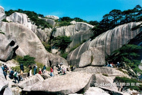 http://www.omega3-ala.com/pics/default/download/afecc9de170cc022c11c5cdacb5adf51.jpg