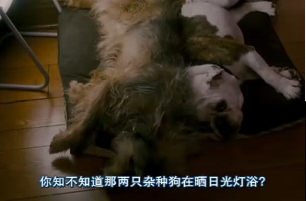 愛受傷 精彩圖冊