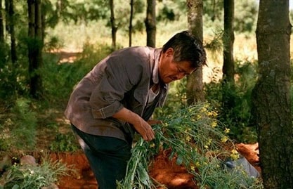 http://www.omega3-ala.com/pics/default/download/b0ea9f9bf21901a92c33d9a557d72839.jpg