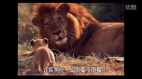 催人淚下勵志短片：創業路上一切磨難都是成長的肥料