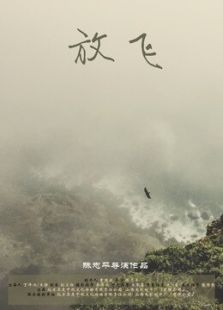 放飛
