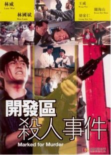 開發(fā)區(qū)殺人事件