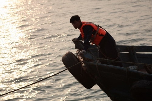 http://www.omega3-ala.com/pics/default/download/b219bf93653cf147ee2995a11cc4dd8b.jpg