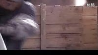 孔雀翎_09_標清