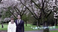《大貓兒追愛記》曝片頭曲MV 海清陳思誠造型百變