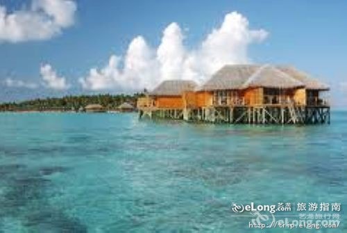 http://www.omega3-ala.com/pics/default/download/b32f517cb1e87a6faa4e2607d14e66a1.jpg