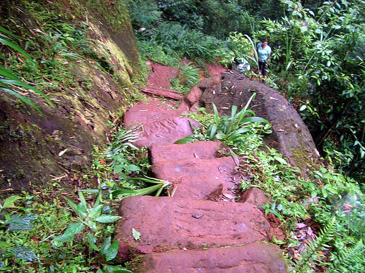http://www.omega3-ala.com/pics/default/download/b3876890a3dc8fe4c1b4979b1d0292f0.jpg