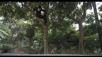《小鎮大法官》首曝1分鐘片花