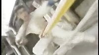 小李飛刀誅殺白發三千丈江南月