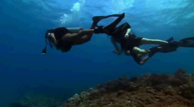 http://www.omega3-ala.com/pics/default/download/b3ed01a2ae3e5fb05041bb54cbedfd8a.jpg