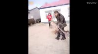 這個段子太搞笑了，不笑你打我