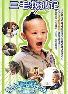 三毛救孤記