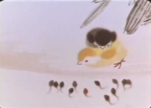 小蝌蚪找媽媽圖冊