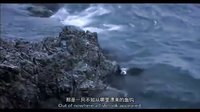 中國首部鳥類電影《天賜》預(yù)告片