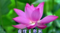我是最有福的人（恩同）_標清