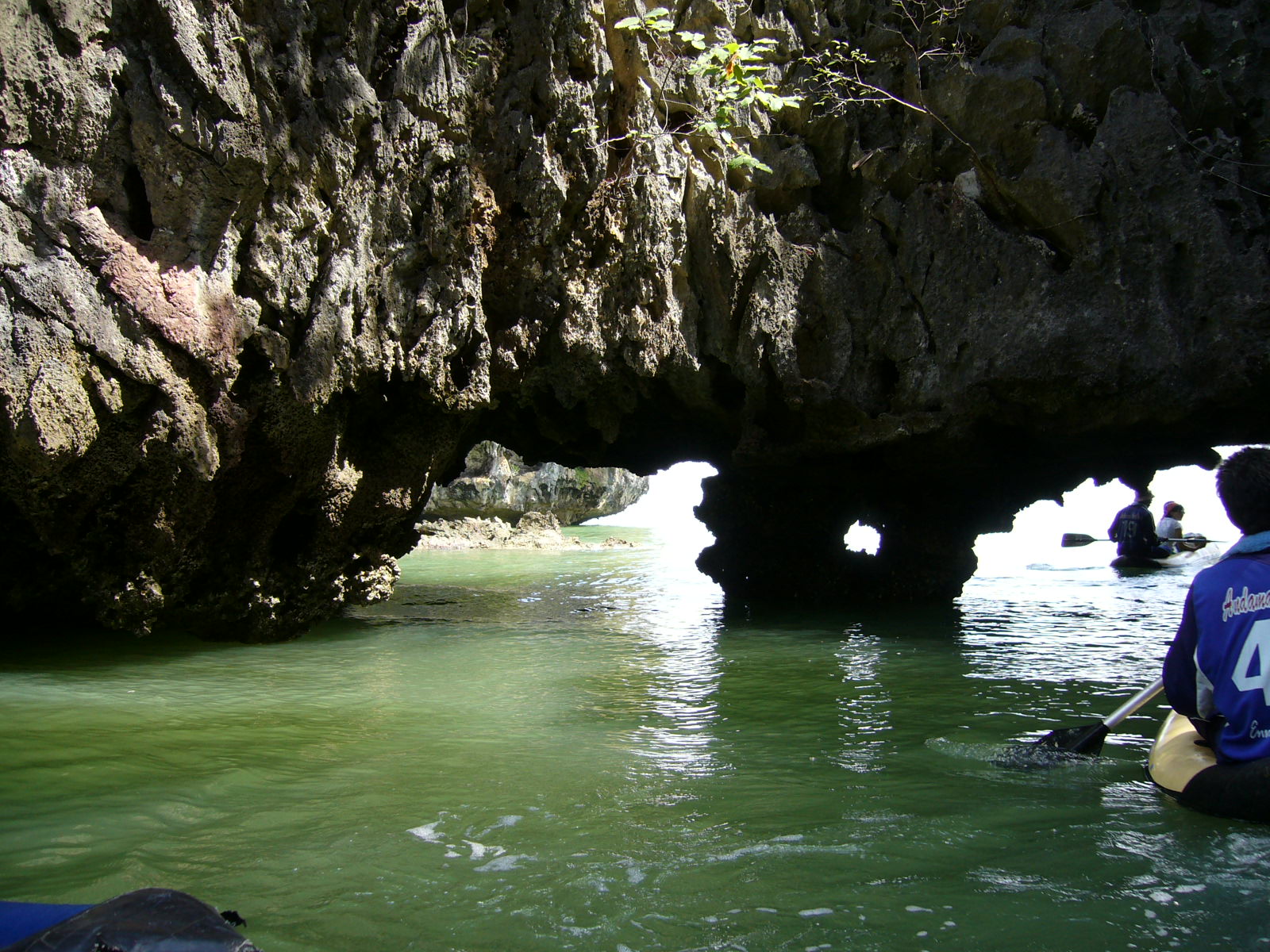 http://www.omega3-ala.com/pics/default/download/b5c143ec67a45aec9c23e25204d2b6dc.jpg