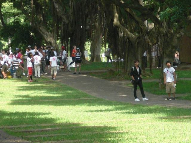 http://www.omega3-ala.com/pics/default/download/b69537a43f323cfdc80348ca97bff19c.jpg