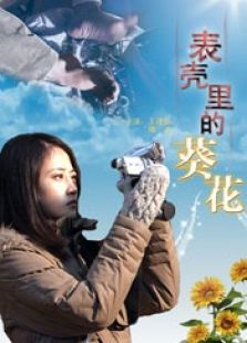 表殼里的葵花