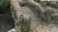 20鹿兒島縣日置市小松家之領地