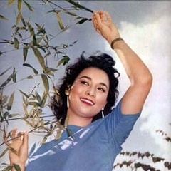 葉楓