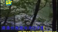 齊秦 - 大約在冬季3 - 卡拉OK歌曲