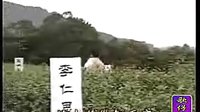 福星闖江湖(財(cái)迷心竅手段好)