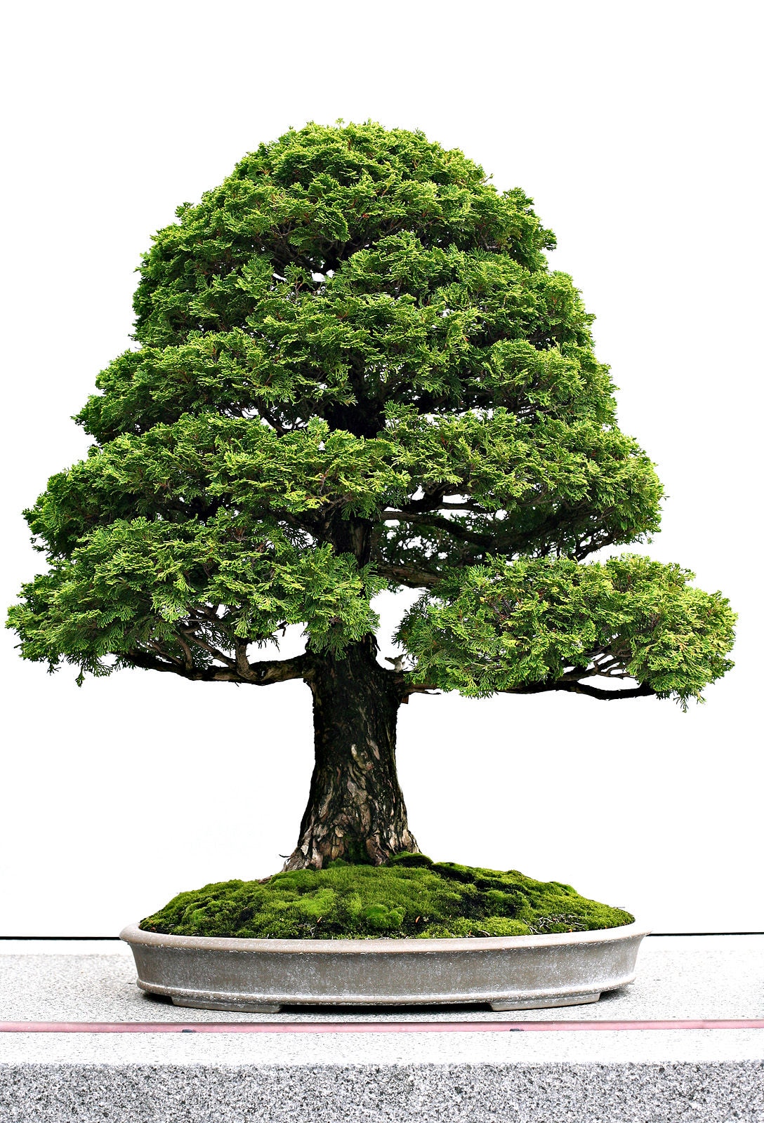 http://www.omega3-ala.com/pics/default/download/b9f658b9c04f71e53b5db18eb12e2bfd.jpg