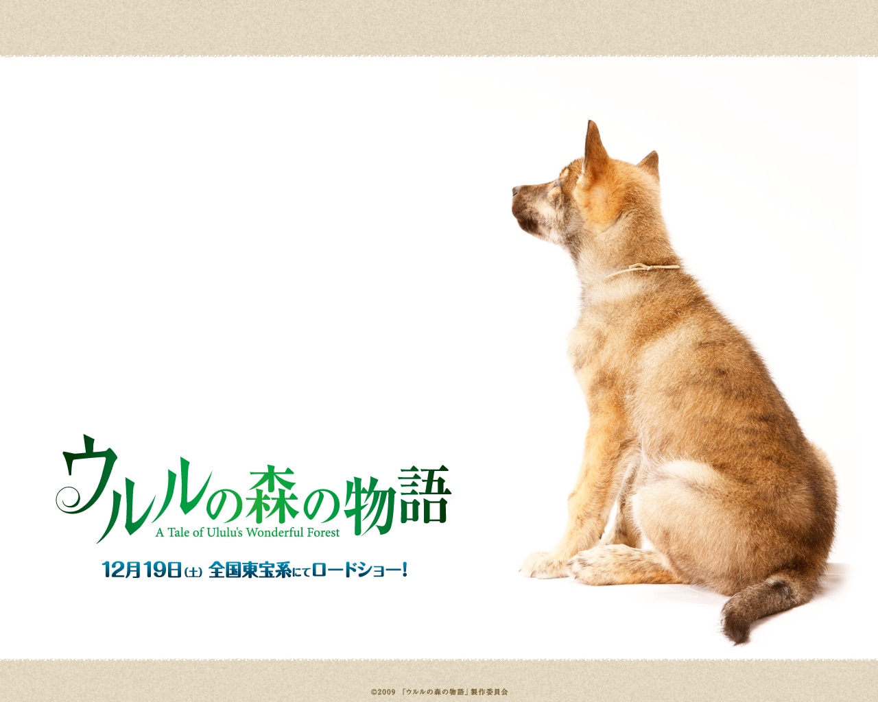 http://www.omega3-ala.com/pics/default/download/ba84462665cdcd9723a8c13a3775a8c2.jpg