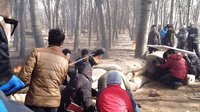 《鐵血武工隊傳奇》鮑鯤、齊峰扔汽油瓶