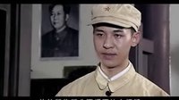 食人魚事件17