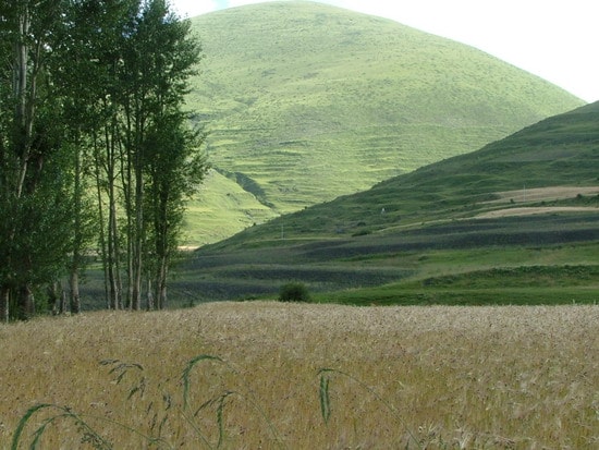 http://www.omega3-ala.com/pics/default/download/bb6bb19442788e7febc09db015a223e0.jpg