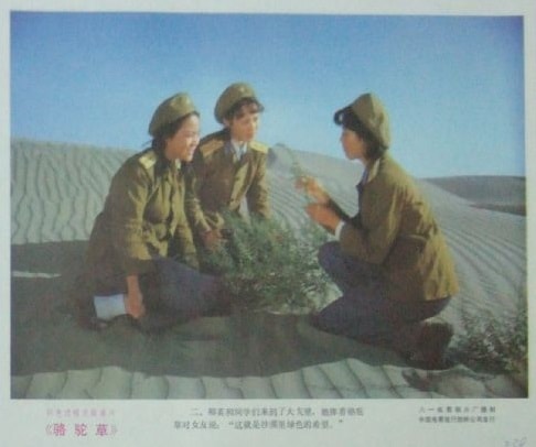 http://www.omega3-ala.com/pics/default/download/bbaeb7357d6acd3af431294958761d1c.jpg